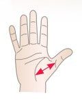 Diagram showing thumb orthosis sizing with arrow indicating measurement area, from 4.5 to 7.3 cm.